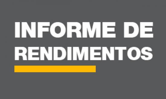 Informe de Rendimento