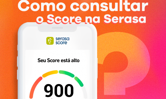 Como consultar o Score na Serasa